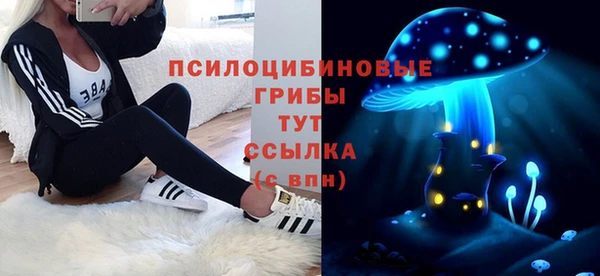 a pvp Арсеньев