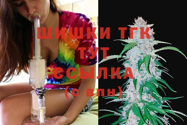 прущие грибы Аркадак