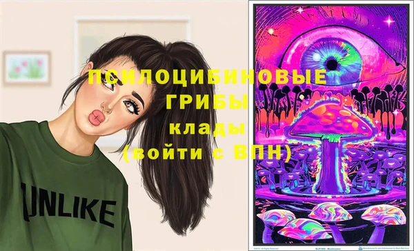 прущие грибы Аркадак