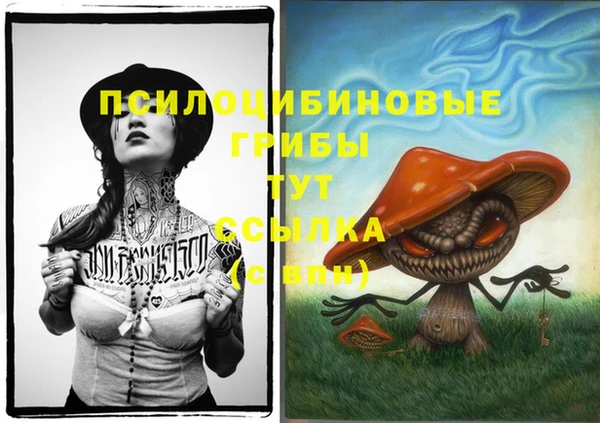 гидра Армянск