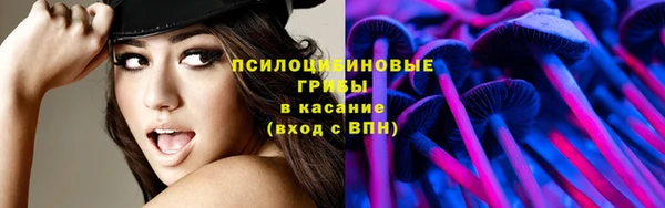 прущие грибы Аркадак
