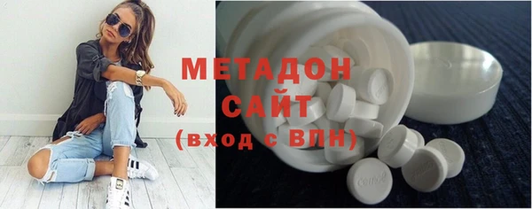 прущие грибы Аркадак