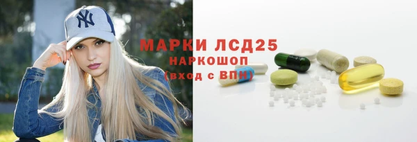 прущие грибы Аркадак