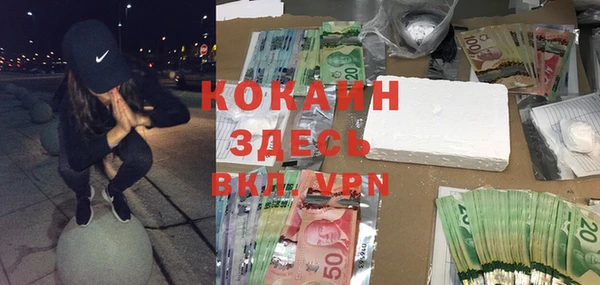 прущие грибы Аркадак