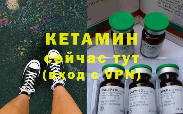 прущие грибы Аркадак