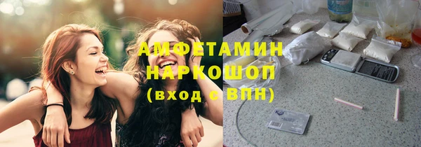 прущие грибы Аркадак
