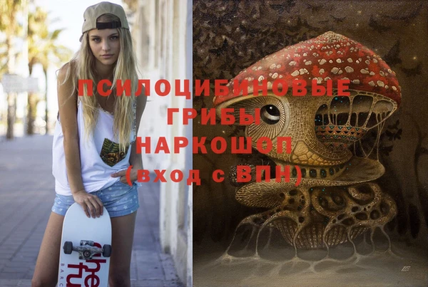 прущие грибы Аркадак