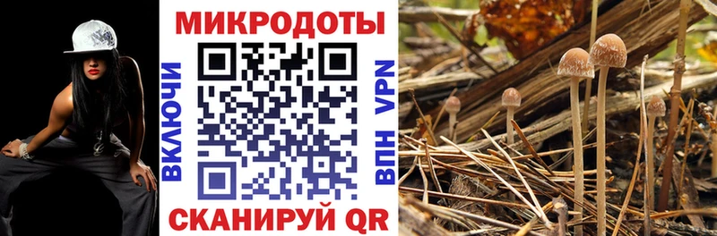 цена   Жуковский  ОМГ ОМГ сайт  Псилоцибиновые грибы Magic Shrooms 